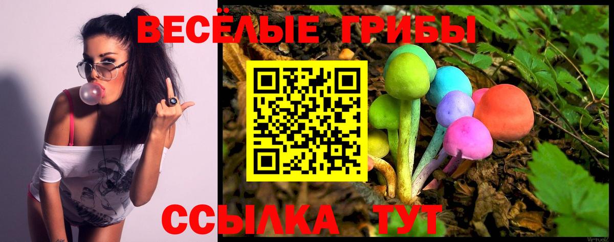 Галлюциногенные грибы Cubensis  хочу наркоту  Галлюциногенные грибы мицелий  Пыть-Ях  Вход с VPN 